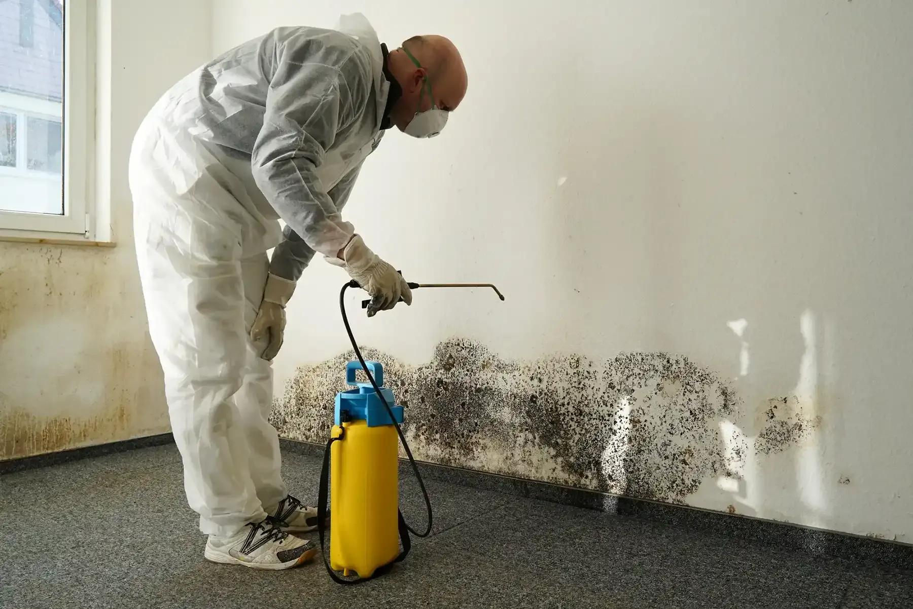 Technician in PPE treating mold on a wall